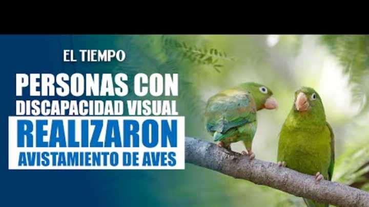 Descubre cómo personas con discapacidad visual disfrutan del avistamiento de aves en Cali