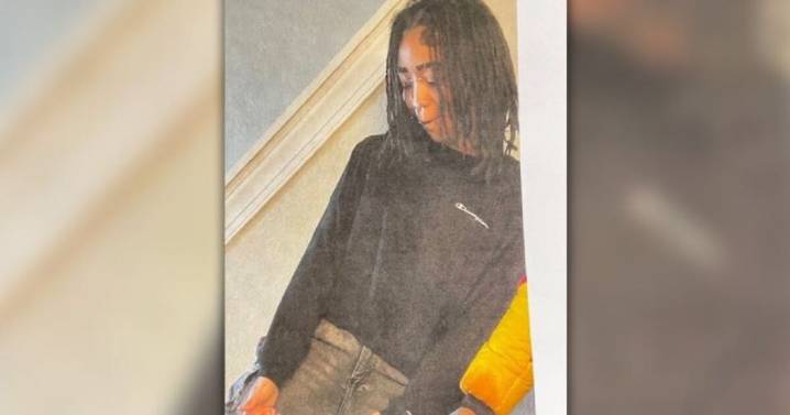 Portsmouth police searching for missing 17