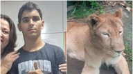 “Fue una tragedia anunciada”: él era Gerson de Melo, el joven que murió tras meterse en el hábitat de una leona en Brasil
