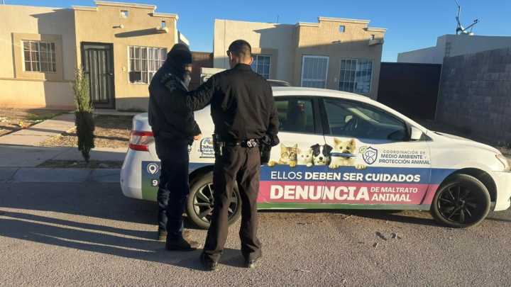 Rescata Municipio a dos perros en Jardines de San Agustín por omisión de cuidados