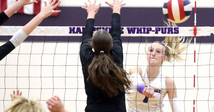 Girls volleyball: 2025 Northwest Herald All