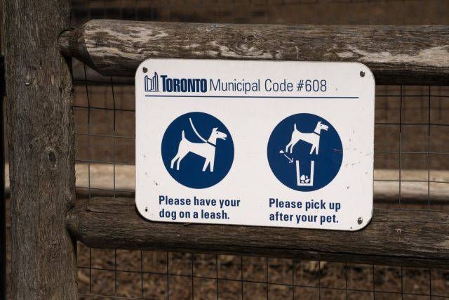Woman whose dog attacked child in Toronto sentenced to a year in jail