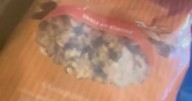 Teenager buys Sainsbury's granola but is left horrified when it starts 'moving'