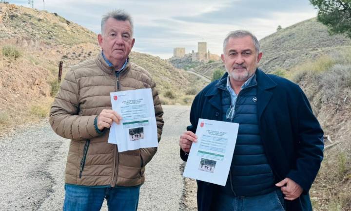 Lorca llama a la calma tras los casos de peste porcina africana: qué hacer si ves un jabalí muerto