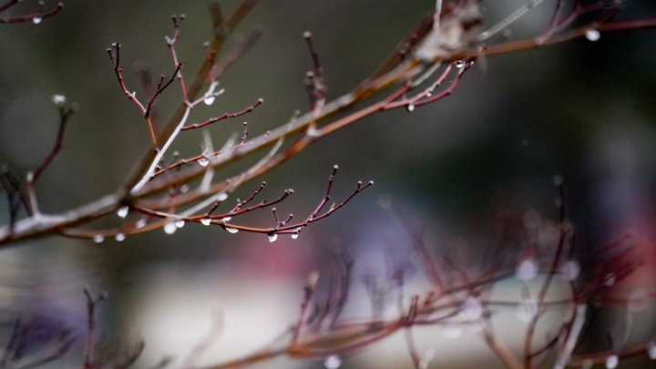 Wintry mix brings sleet. What is it?