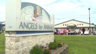 Angels for Animals to host 24th annual antique sale