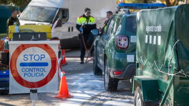 Cataluña declara emergencia por peste porcina africana y activa despliegue militar ante riesgo económico