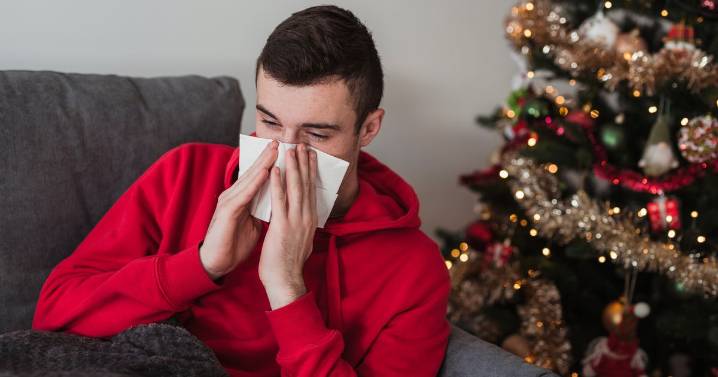 BBC doctor says anyone with 'real' Christmas trees should take 9p pill