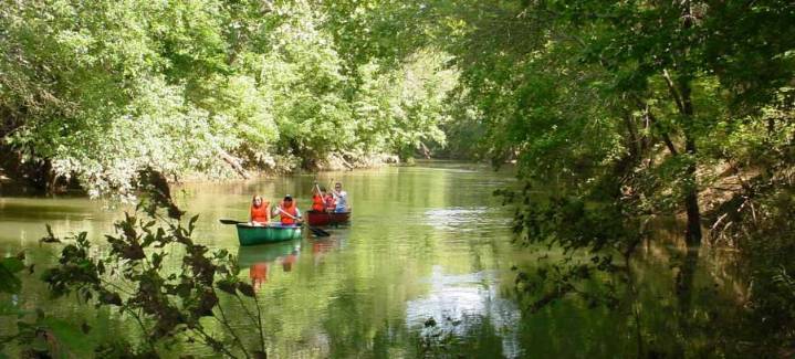 Top 10 countdown: These are the most popular Texas state parks each winter