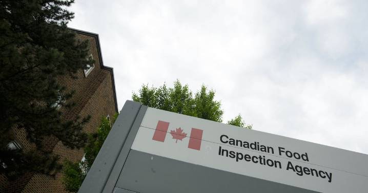 Salmonella outbreak linked to pistachios still ongoing