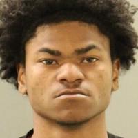 Auto theft suspect reports own crime