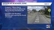 Palm Coast woman hit Public Safety Officer while kids cross