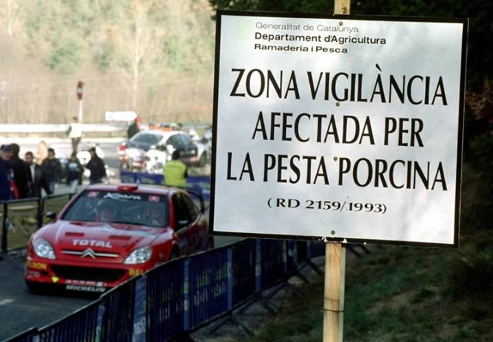 La Comisión Europea pide a España actuar contra la peste porcina y enviará expertos