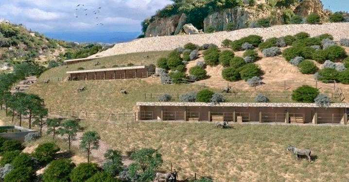 Mijas creará un parque con burros en semilibertad para conocer y preservar la especie