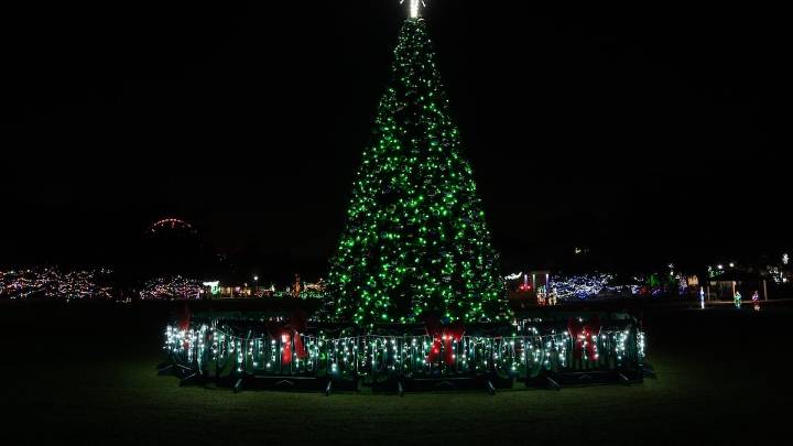 Top events in Tampa Bay for the week of Dec. 1