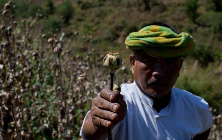 El cultivo de opio en Myanmar alcanza su nivel más alto en una década, según la ONU