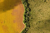 New financial tools boost traditional bioeconomy projects in the Amazon