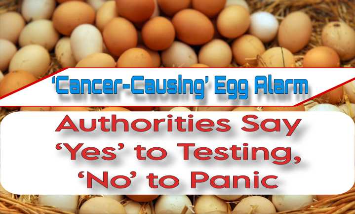 ‘Cancer-Causing’ Egg Alarm: Authorities Say ‘Yes’ to Testing, ‘No’ to Panic