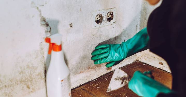 Scandinavian method helps stop mould in your home and it costs nothing