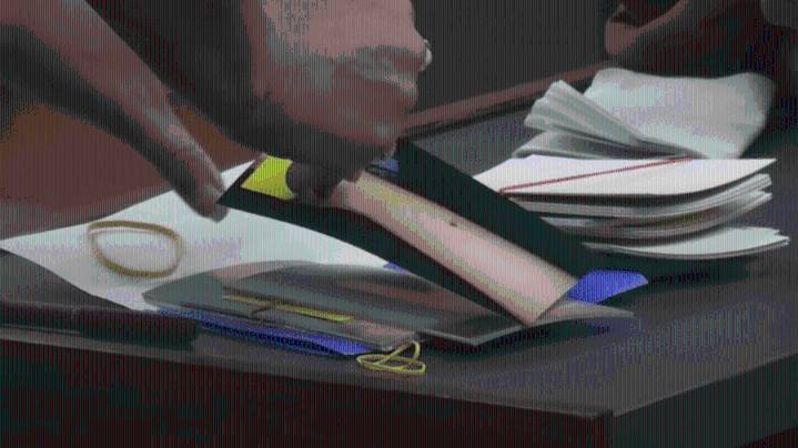 Dog surrendered to Evansville Animal Control after attack