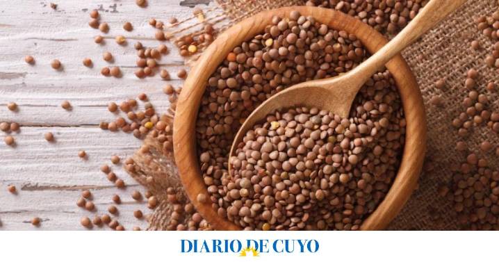 Feng Shui: el lugar donde tenés que colocar lentejas para potenciar la prosperidad