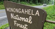 Monongahela National Forest to hike selected campground fees starting Jan. 1