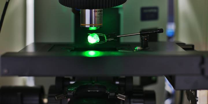 Experto explicó por qué las esmeraldas colombianas son tan codiciadas y únicas en el mundo frente a las de otros países