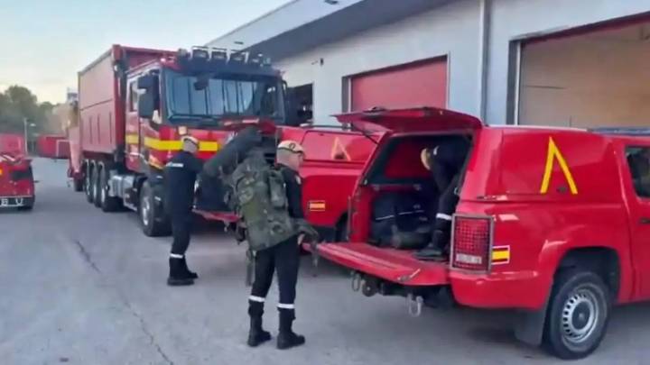 La UME desplegará drones para controlar el foco de peste porcina africana en Barcelona