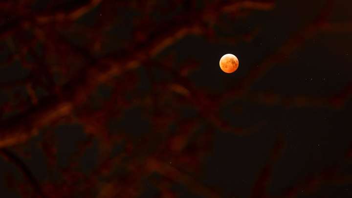 Want to see a total lunar eclipse? You can, in 2026. Here's when