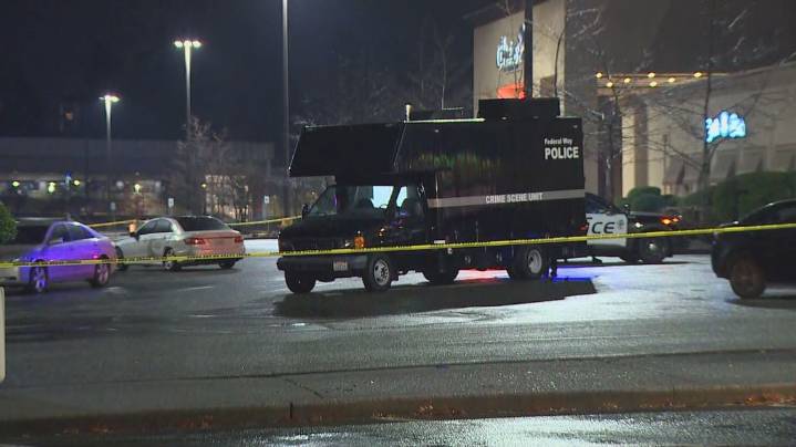 Brothers accused of chasing down, killing man in Federal Way who had taken their grandfather's gun