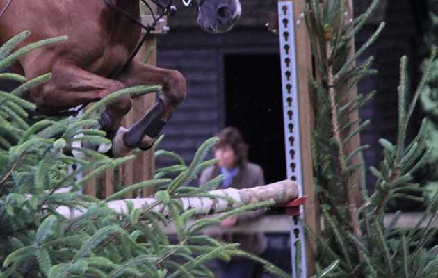 Two new showing classes for London International Horse Show 2026