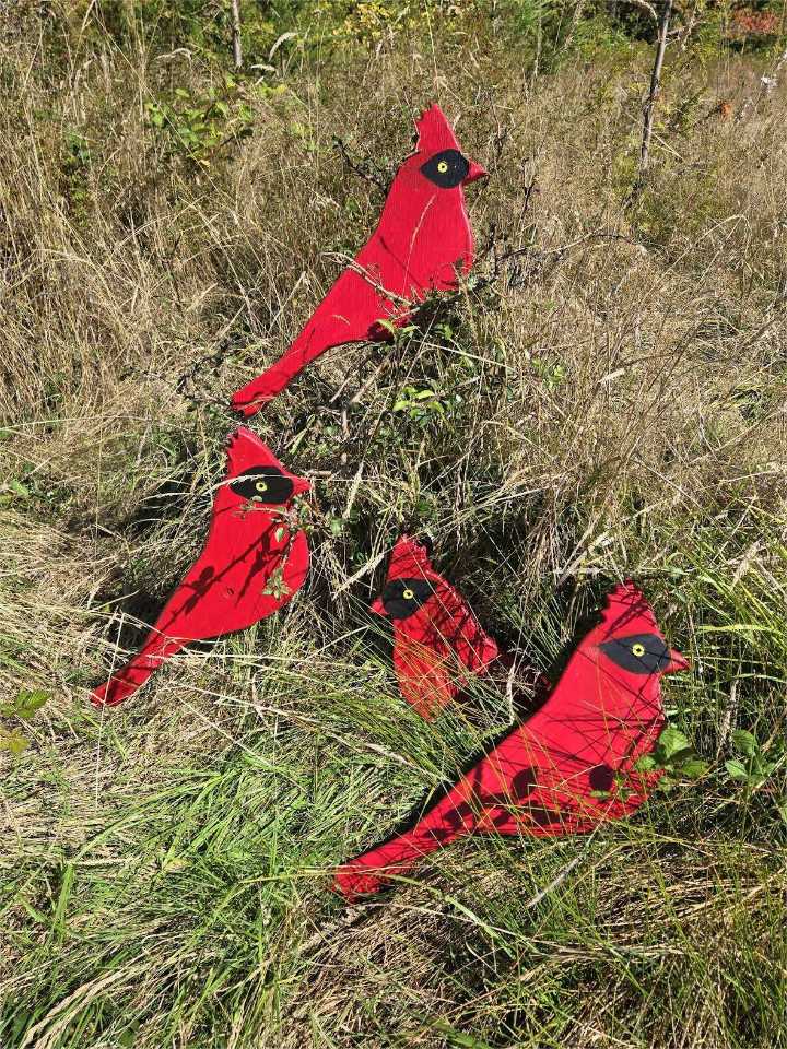 Local students’ art on display at the Sculpture Park