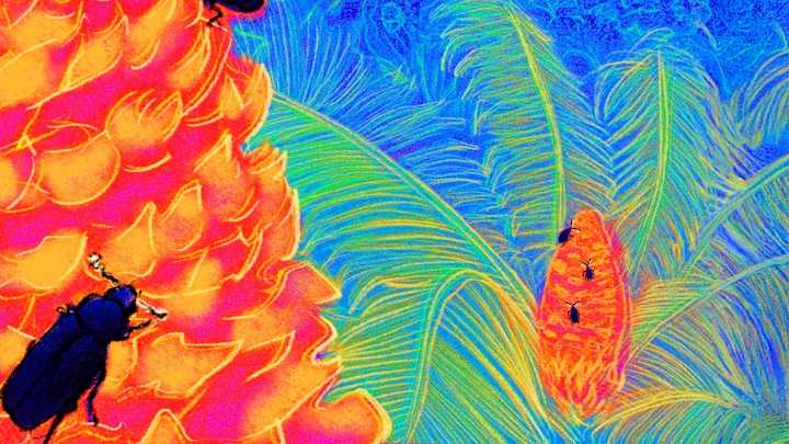 These plants can heat themselves up—scientists finally know why