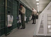Death behind bars: Who’s dying in Southern California county jails