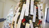 What is an Angel Tree and does it work? Where to find them in Florida