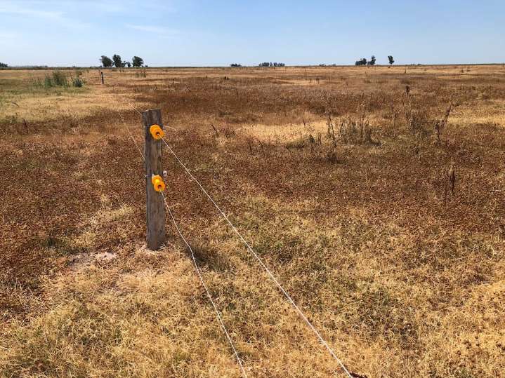 “Reglas claras a largo plazo”: un oeste bonaerense condicionado por el clima y cambios obligados