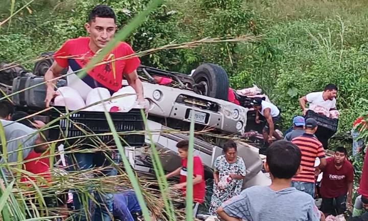 ¡Caos en Machiques! Camión de pollos vuelca y vecinos saquean la mercancía (+Video)