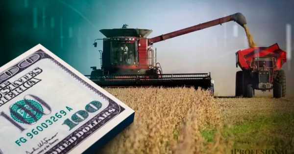 El Gobierno Nacional bajó las Retenciones a la Soja y otros granos