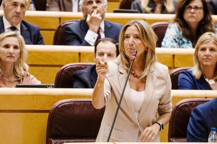 El PP citará a Paco Salazar en el Senado