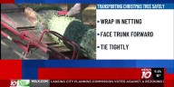 AAA gives safety tips for transporting Christmas trees