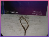 RESISTENCIA: Demoraron A Un Menor Por Arrojar Objetos Contra Vehículos