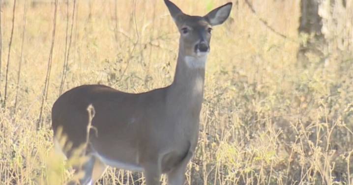 Northeast Ohio claims 4 spots on top 10 list for deer hunters as gun hunting season wraps up
