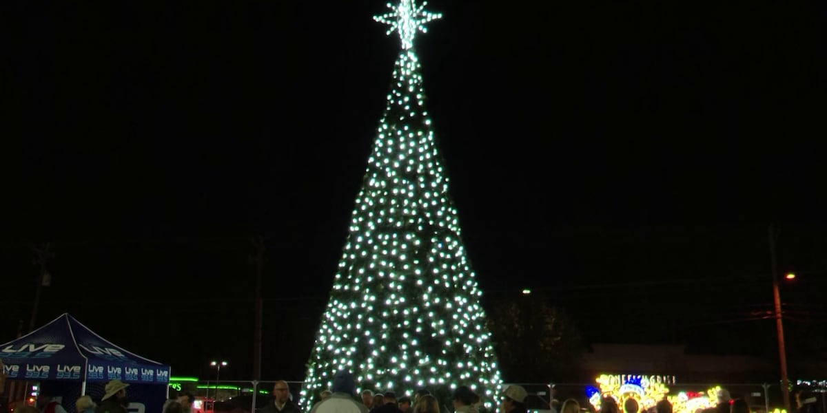 Forest Acres kicks off holiday season with annual tree lighitng