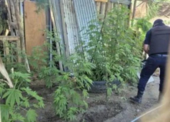 Más de 100 efectivos participaron de un operativo en Isla Jordán