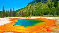El fenómeno que intriga a los expertos: pequeños terremotos reaniman comunidades microbianas bajo Yellowstone
