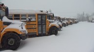 Essex County, Chatham-Kent and Sarnia-Lambton school buses cancelled — but not Windsor