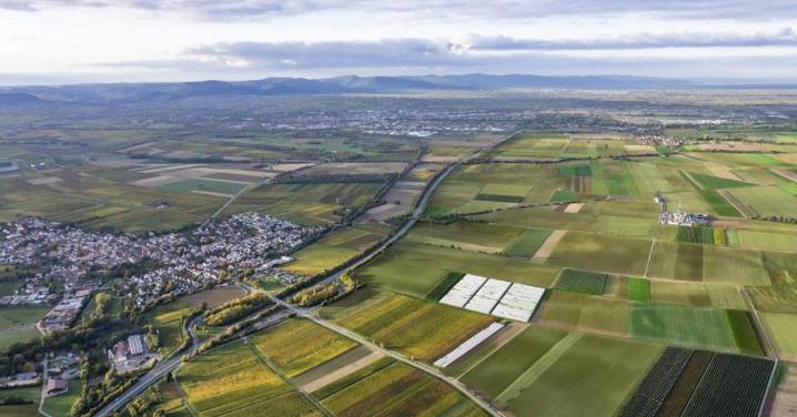 ACS se une a la empresa alemana Vulcan para desarrollar la mayor planta de litio de Europa