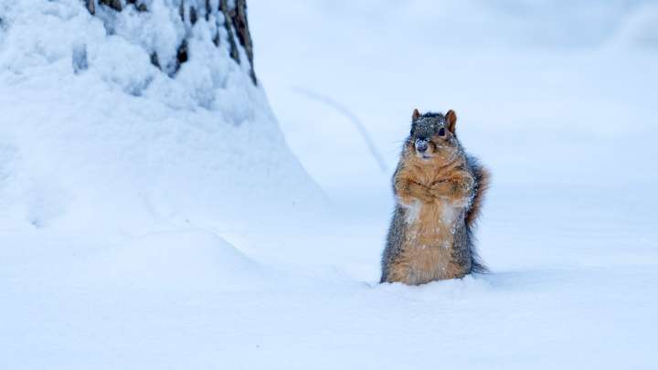 NWS warns of sub-zero temps for Indiana. Here's when and where