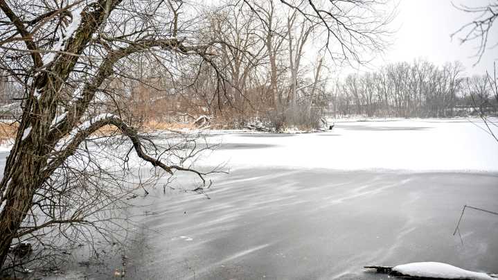A Walk in the Park: Jones Lake Park features spring-fed lake in northwest Lansing