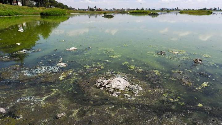 Conagua pide a Morena en el Senado aprobar sin cambios la nueva Ley General de Aguas